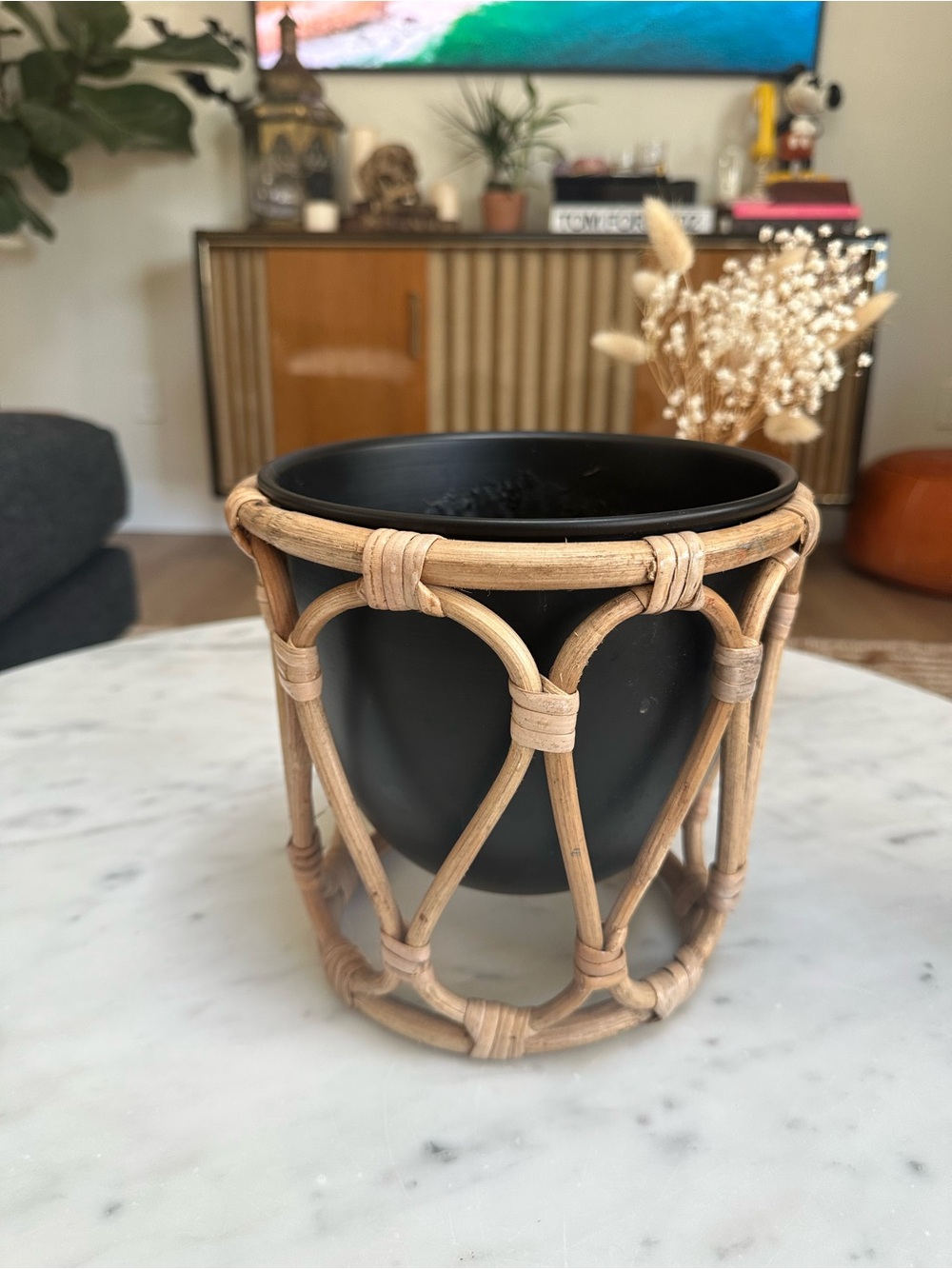 World Market Rattan Wrapped Black Planter